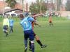 p1010049_t1.jpg