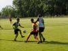 p1010066_t1.jpg